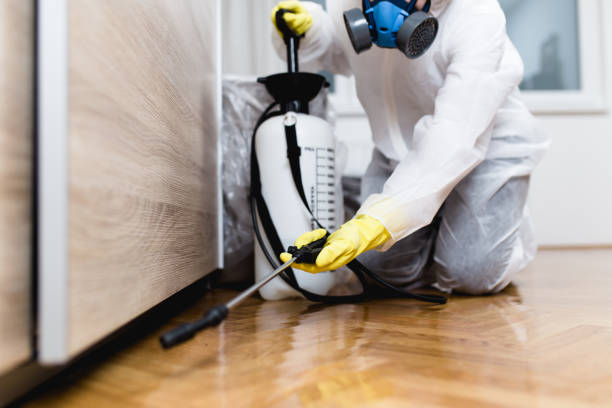 Best Affordable Pest Control Services  in Bayard, NM
