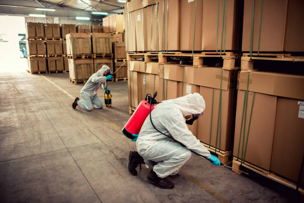 Best Bed Bug Extermination  in Bayard, NM
