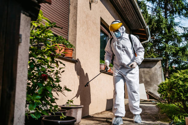 Best Wasp Removal Services  in Bayard, NM