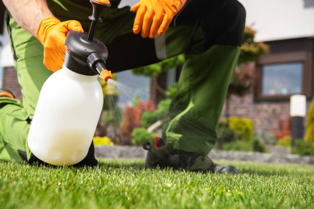 Trusted Bayard, NM Pest Control Experts