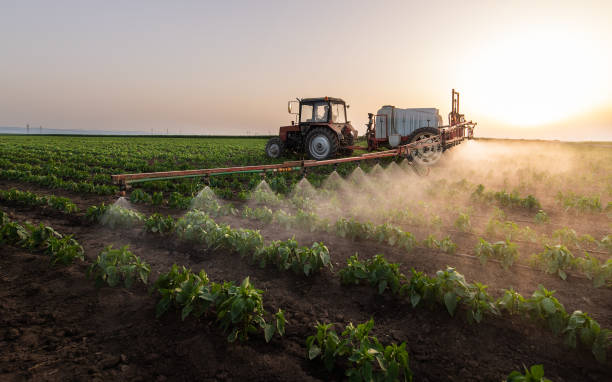 Best Mosquito Control Services  in Bayard, NM