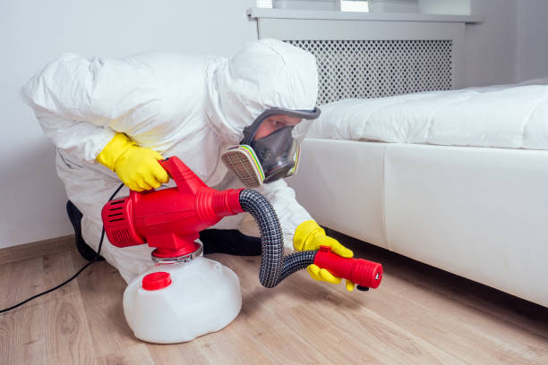 Best Pest Control for Homes  in Bayard, NM