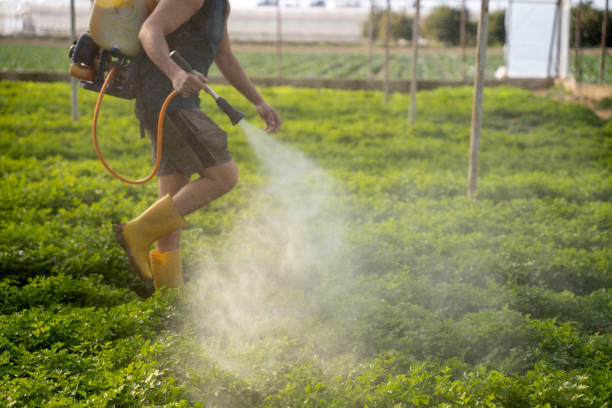 Best Best Pest Control Companies  in Bayard, NM