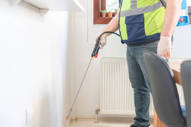 Best Flea Control Services  in Bayard, NM
