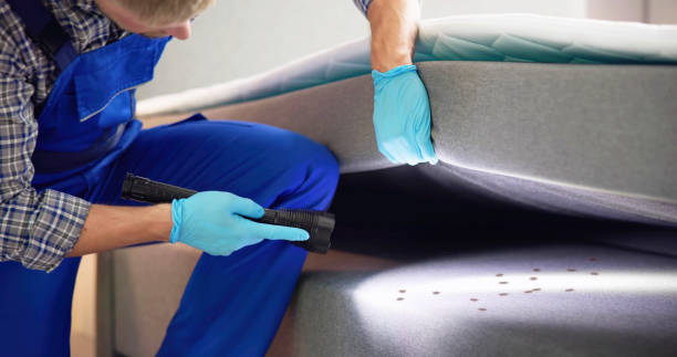 Best Residential Pest Control  in Bayard, NM