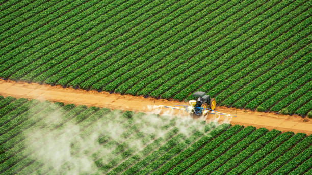 Best Best Pest Control Companies  in Bayard, NM