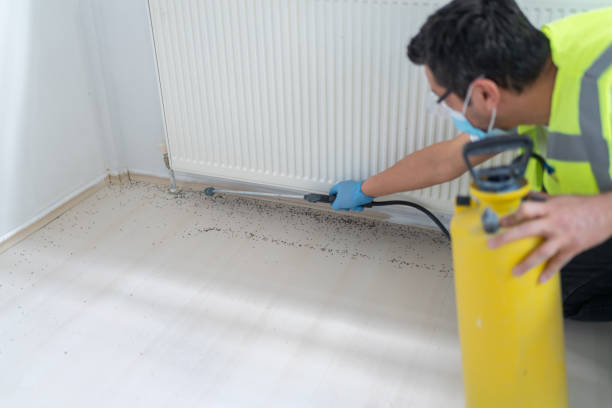 Best Wasp Removal Services  in Bayard, NM