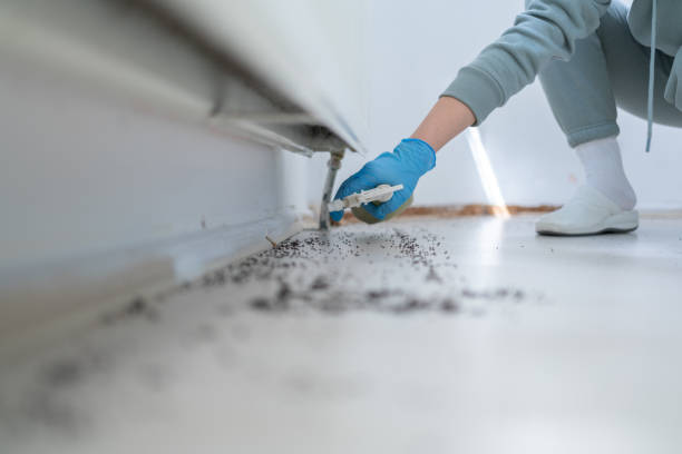 Pest Prevention Services in Bayard, NM