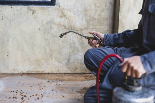Best Mosquito Control Services  in Bayard, NM